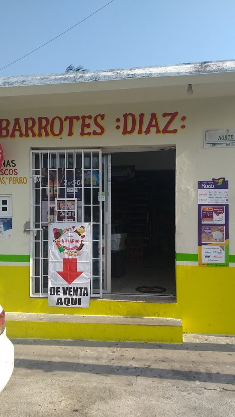 16057 abarrotes diaz 768x1365