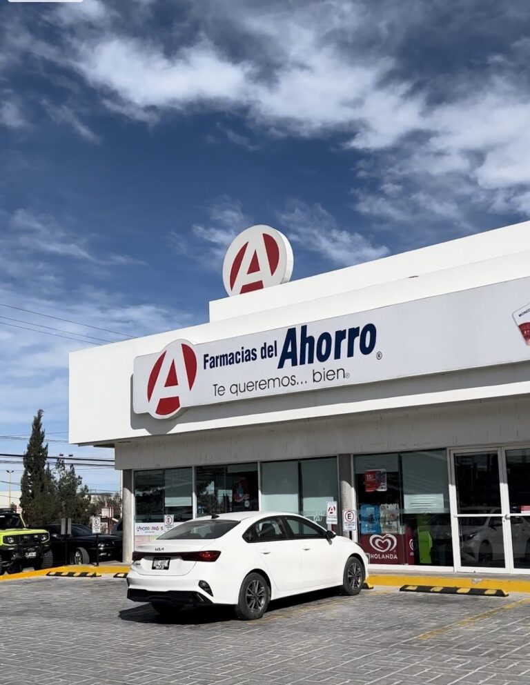 16135 farmacias del ahorro jose musa 768x993