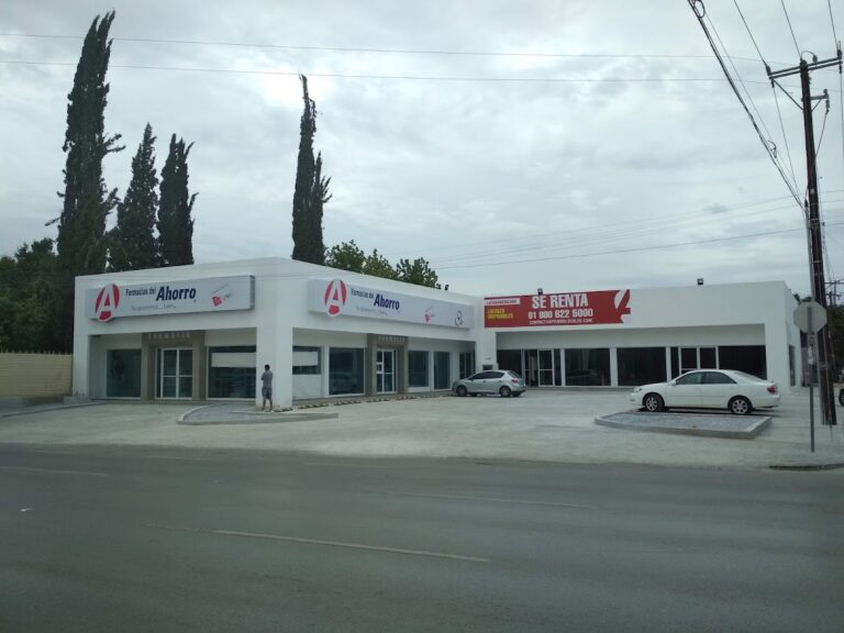 16137 farmacias del ahorro 768x576