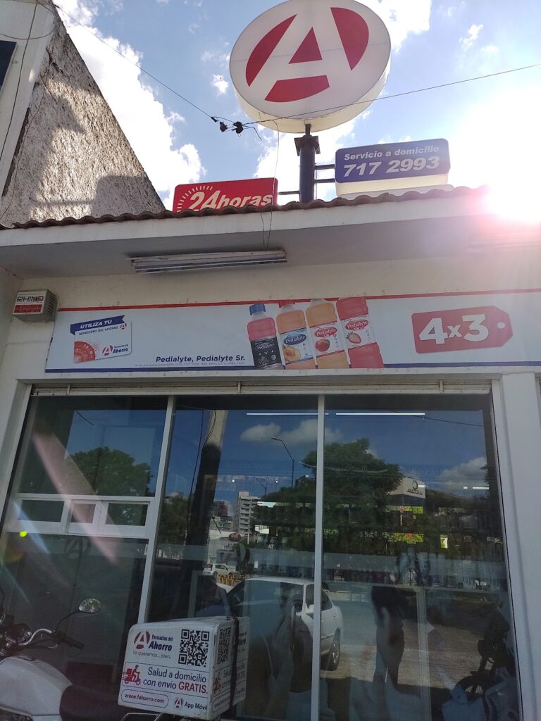 16208 farmacias del ahorro paseo del moral 768x1024