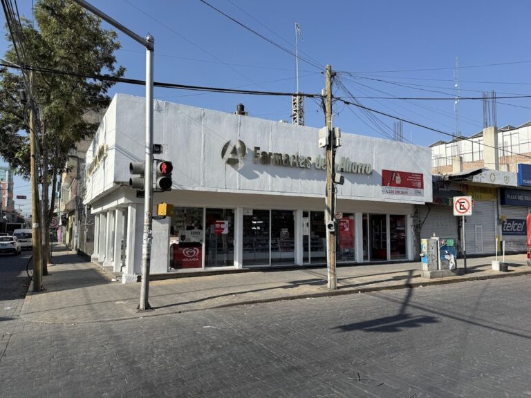 16371 farmacias del ahorro 3 oriente 768x576