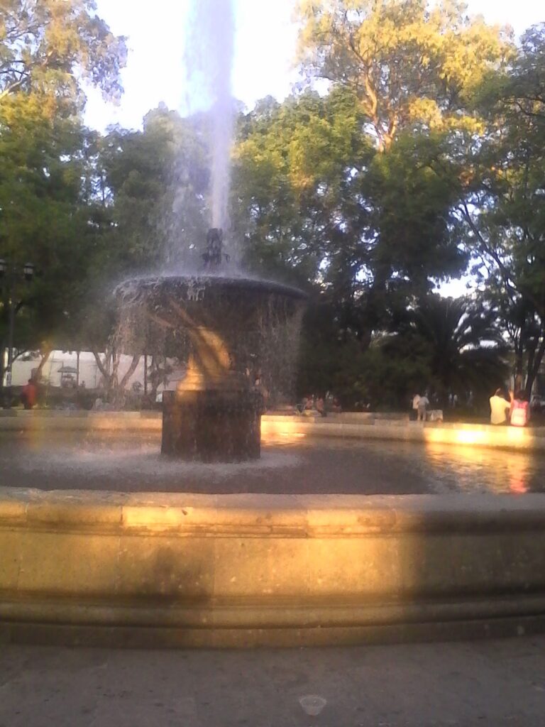 16385 farmacias del ahorro juarez 768x1024