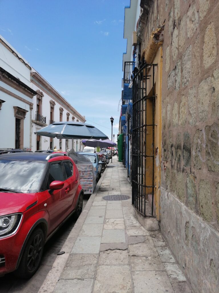 16389 farmacias del ahorro hidalgo 768x1024