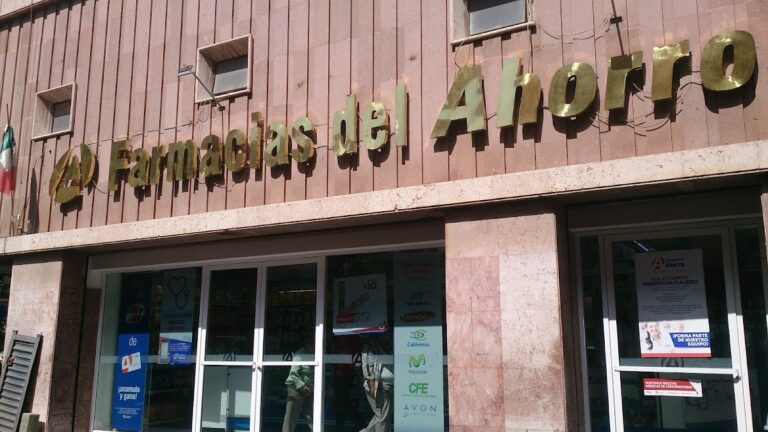 16421 farmacias del ahorro los bravo 768x432