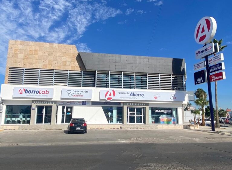 16446 farmacias del ahorro 768x564