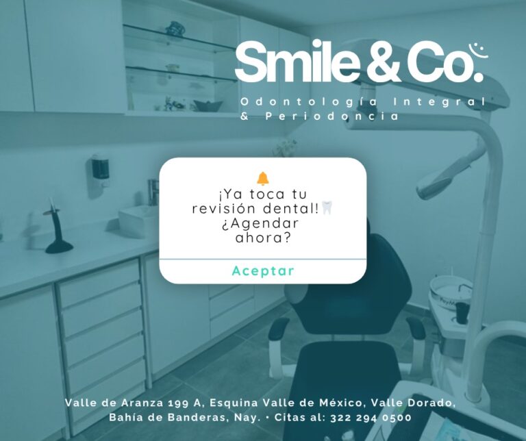 17358 smile co. 8211 odontologia integral periodoncia 768x644