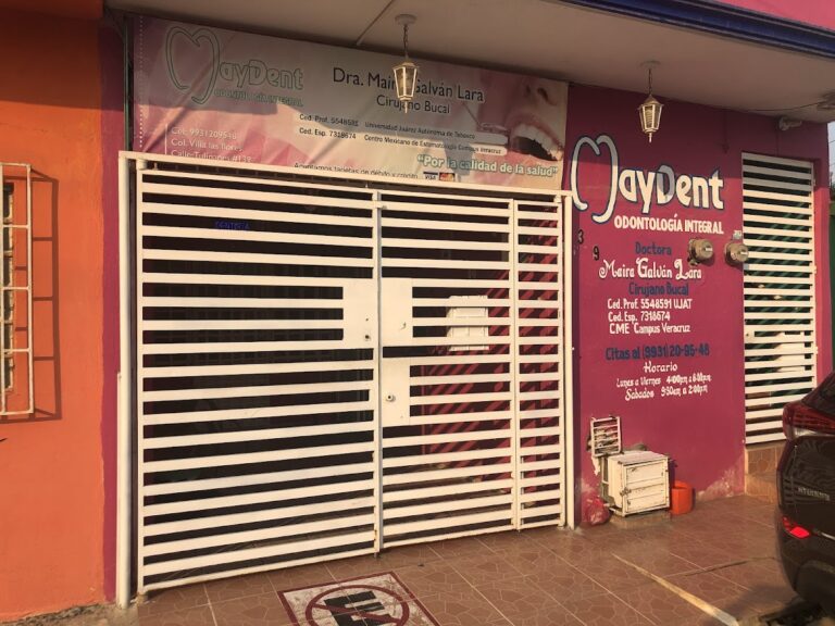 17531 dra. maira galvan lara dentista 8211 odontologo 768x576