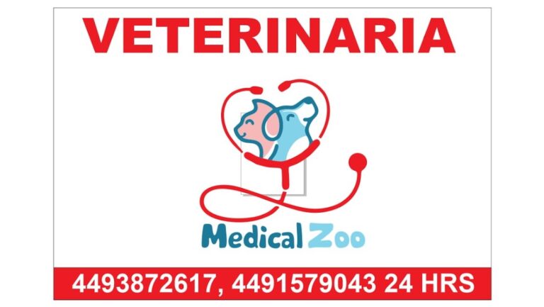 17598 veterinaria medical zoo 768x433