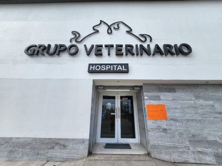 17603 grupo veterinario de mexicali 768x576