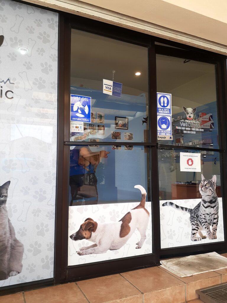 17613 fieritos vet clinic 768x1024