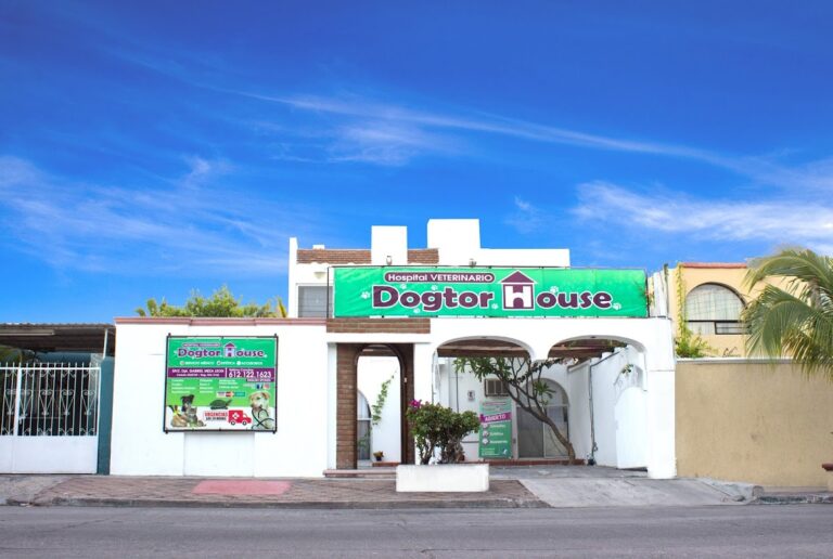 17615 hospital veterinario dogtor house 768x516