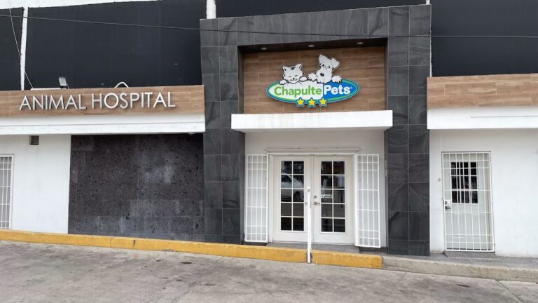 17621 hospital veterinario chapultepets tijuana 768x432