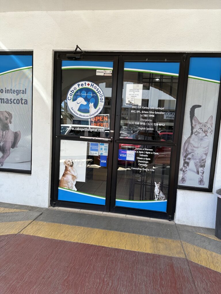 17623 cabo pet hospital 768x1024
