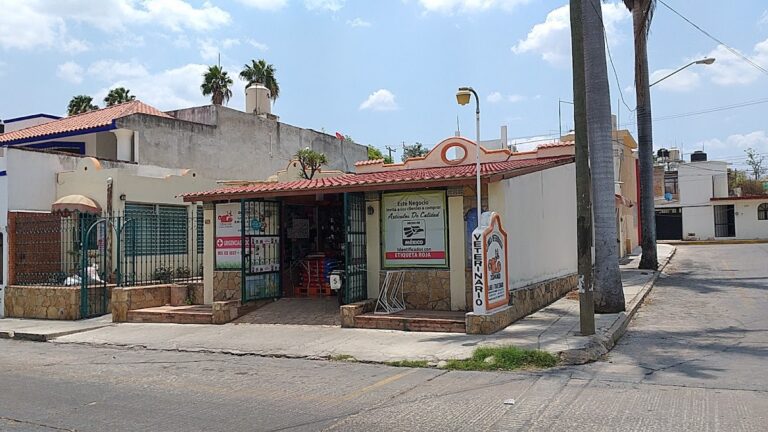 17625 clinica veterinaria zoomundo 768x432