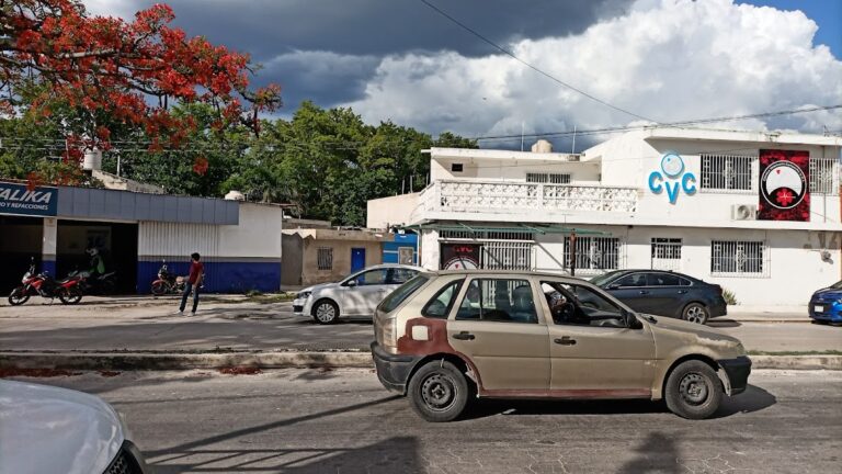 17631 clinica veterinaria campeche cvc 768x432