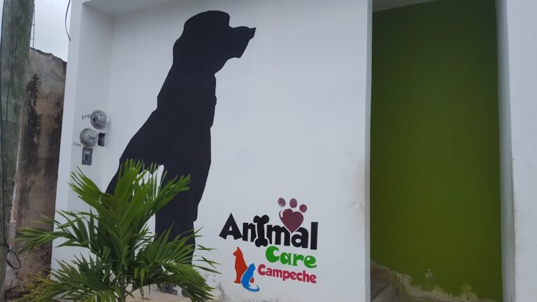 17639 animal care 768x432