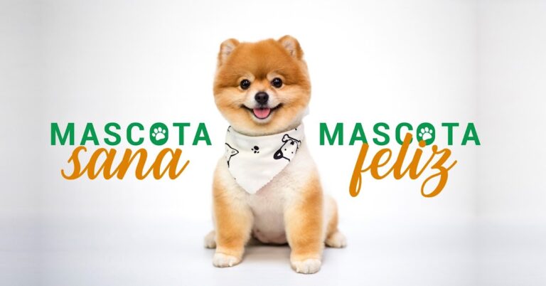 17645 veterinaria bahia 768x402