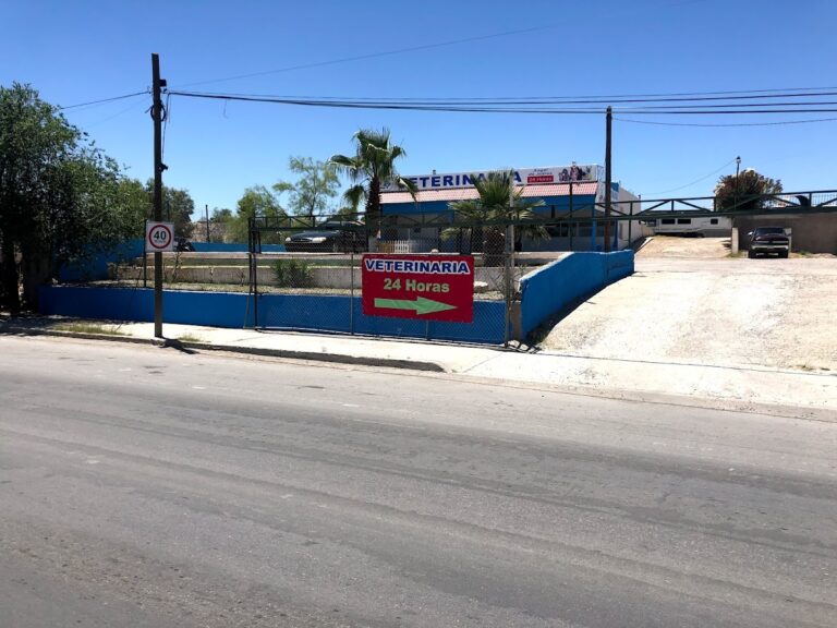 17655 veterinaria angel de juarez 24 horas 768x576