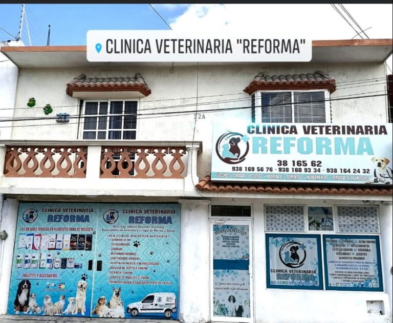 17663 veterinaria reforma 768x632