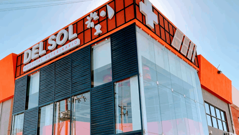 17665 del sol hospital veterinario 768x433