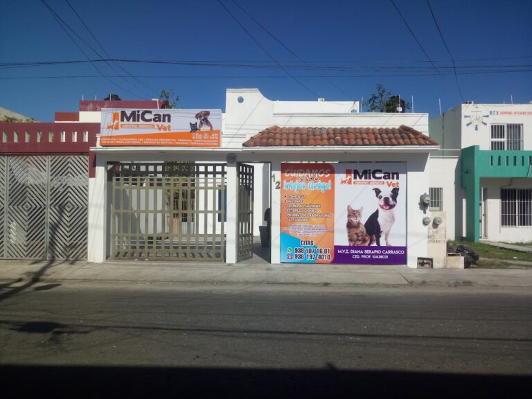 17669 mican vet centro medico 768x576