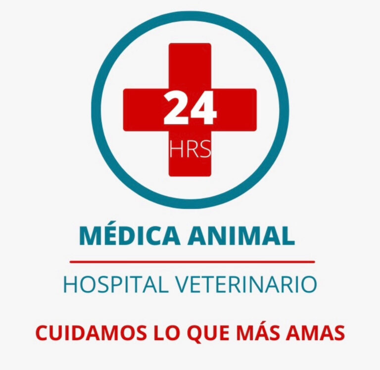 17677 hospital veterinario medica animal 24 hrs 768x748