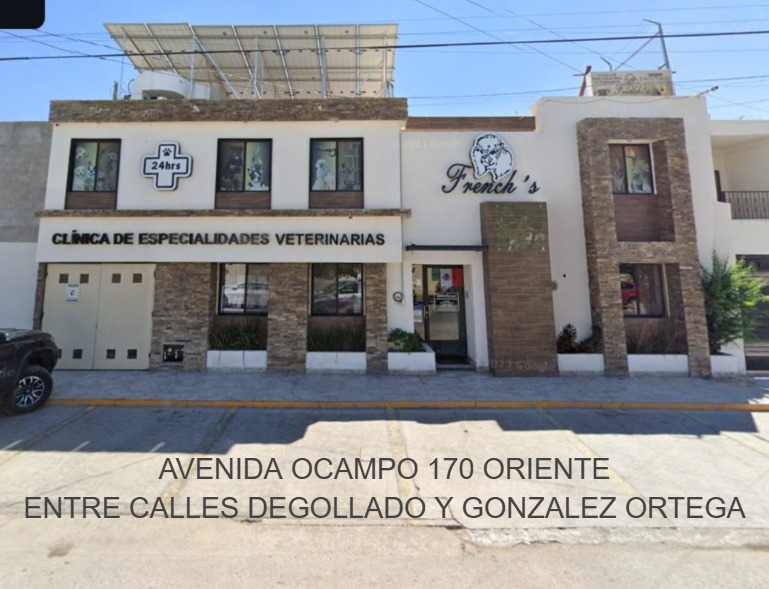 17679 clinica de especialidades veterinarias frenchs torreon coahuila