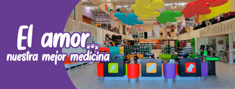 17687 pets care veterinario 24 horas en saltillo traumatologo veterinario en saltillo 768x292