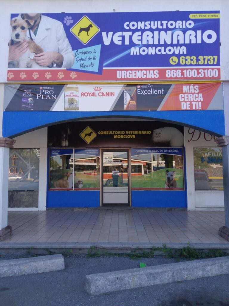 17689 veterinaria galerias olloqui consultorio veterinario monclova 768x1024