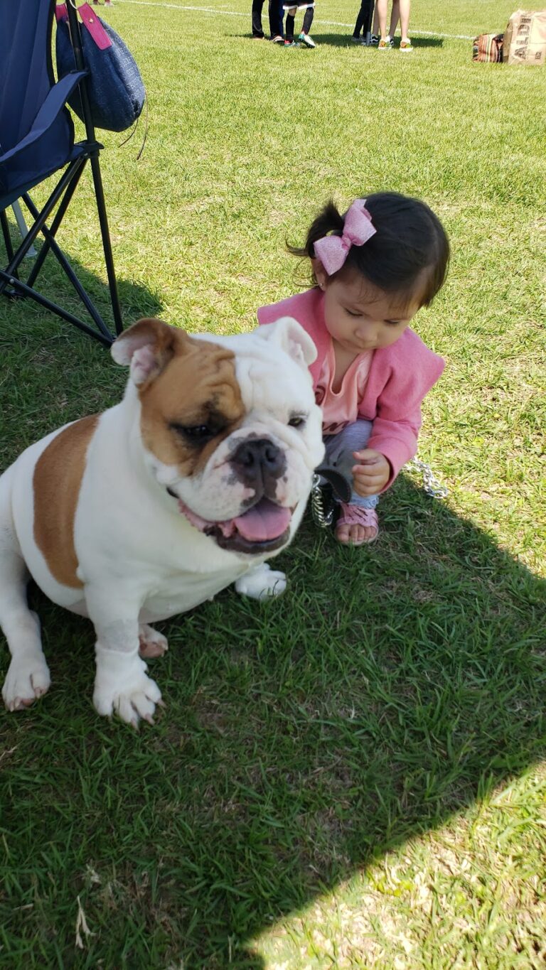 17697 clinica veterinaria piedras negras 768x1365