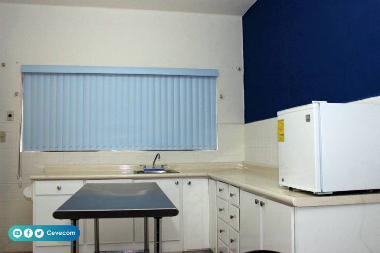 17699 cevecom 768x512