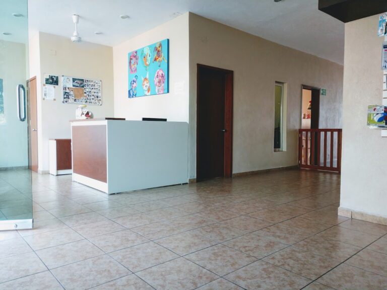 17705 hospital veterinario y especialidades animal care 768x576