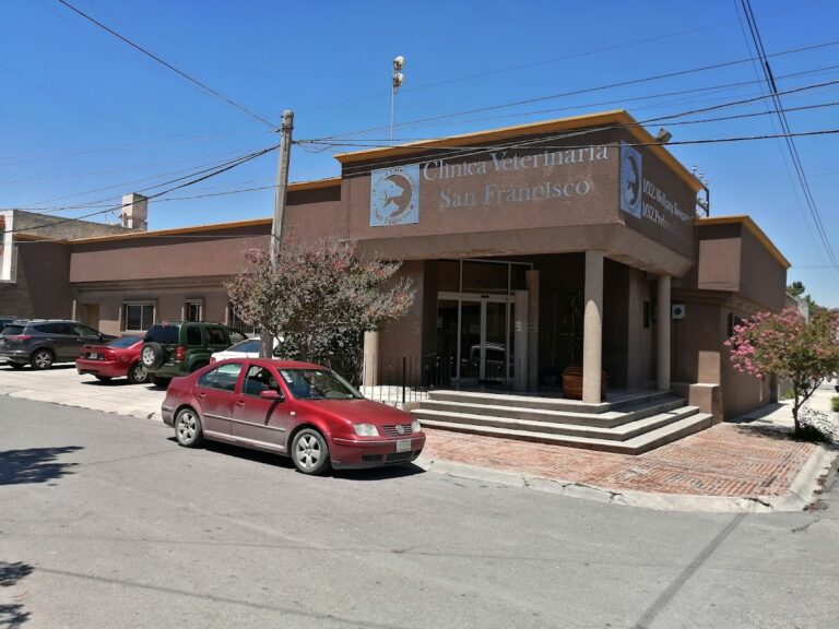 17717 clinica veterinaria san francisco 768x576