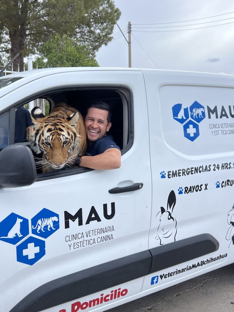 17721 veterinaria mau y estetica canina 768x1024