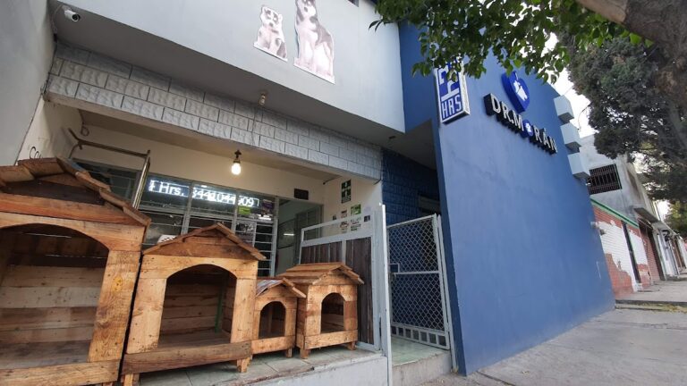 17723 veterinaria del dr. moran 768x432