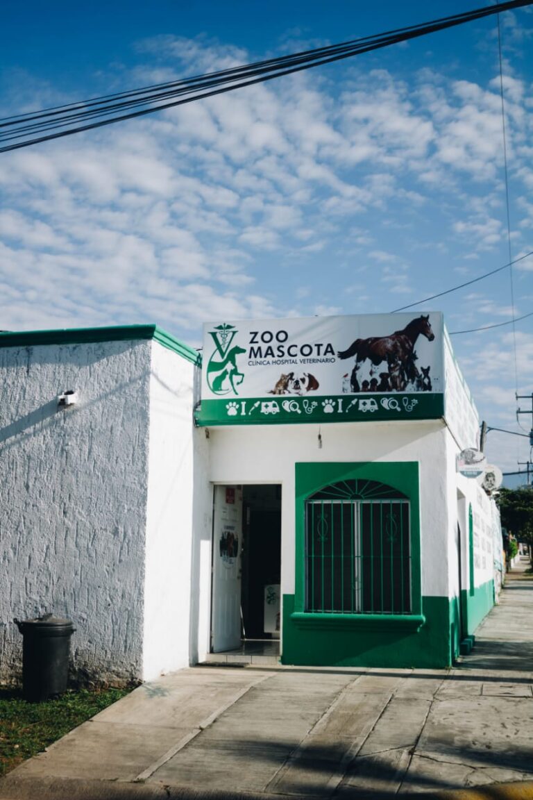 17729 zoo mascota colima 768x1152