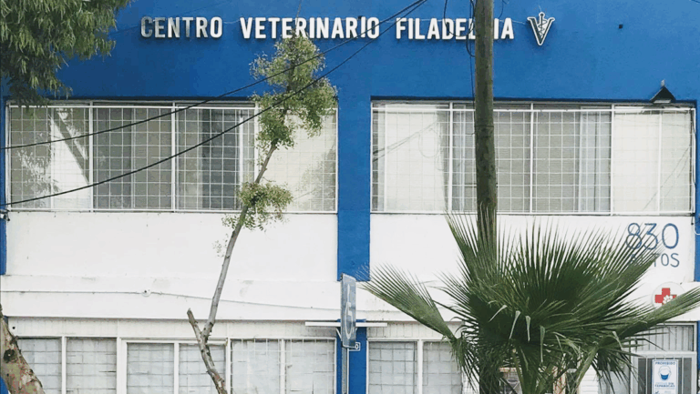 17735 centro veterinario filadelfia 768x433