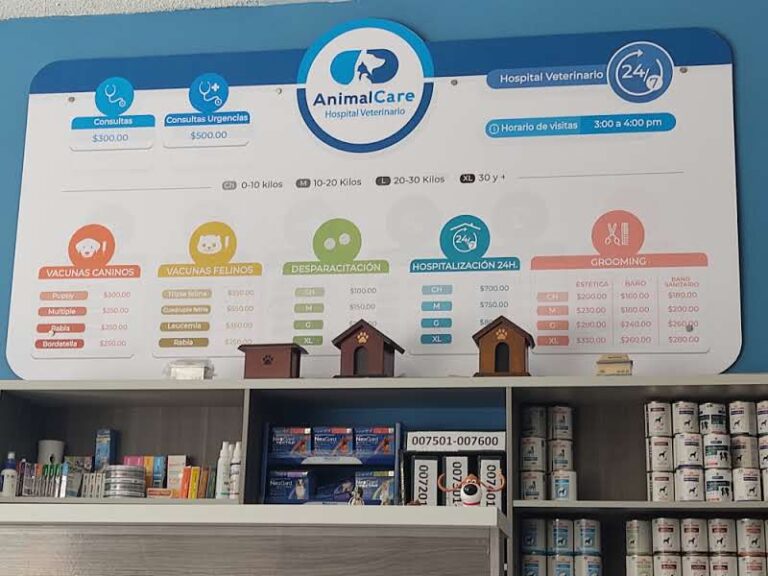 17747 animal care hospital veterinario 768x576