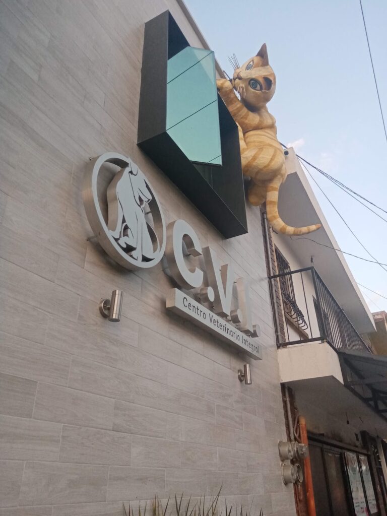 17752 centro veterinario integral 768x1024