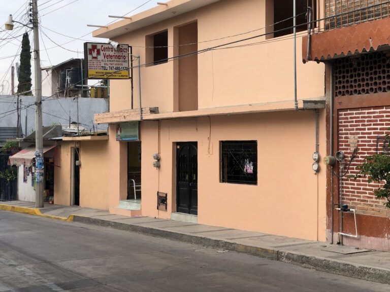 17754 centro medico veterinario 768x576