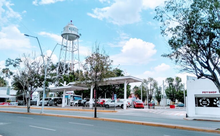 17760 clinica veterinaria kentauro 768x476