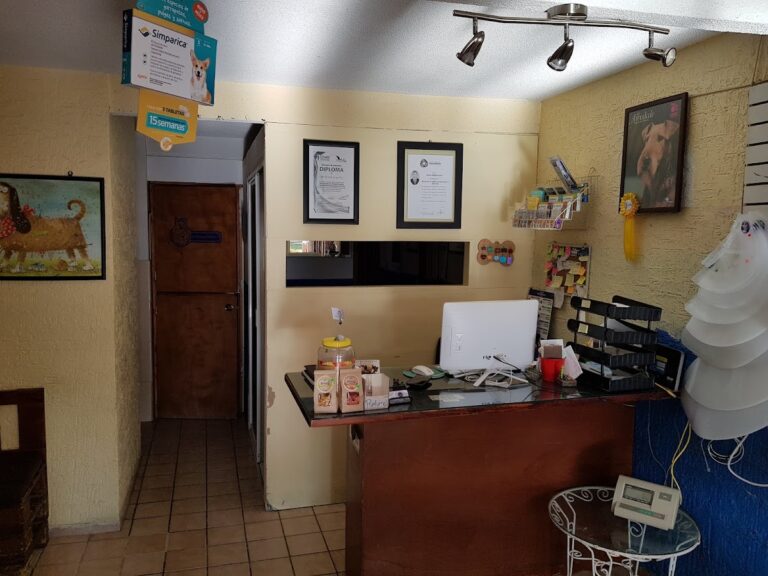 17774 veterinaria pro vet 768x576