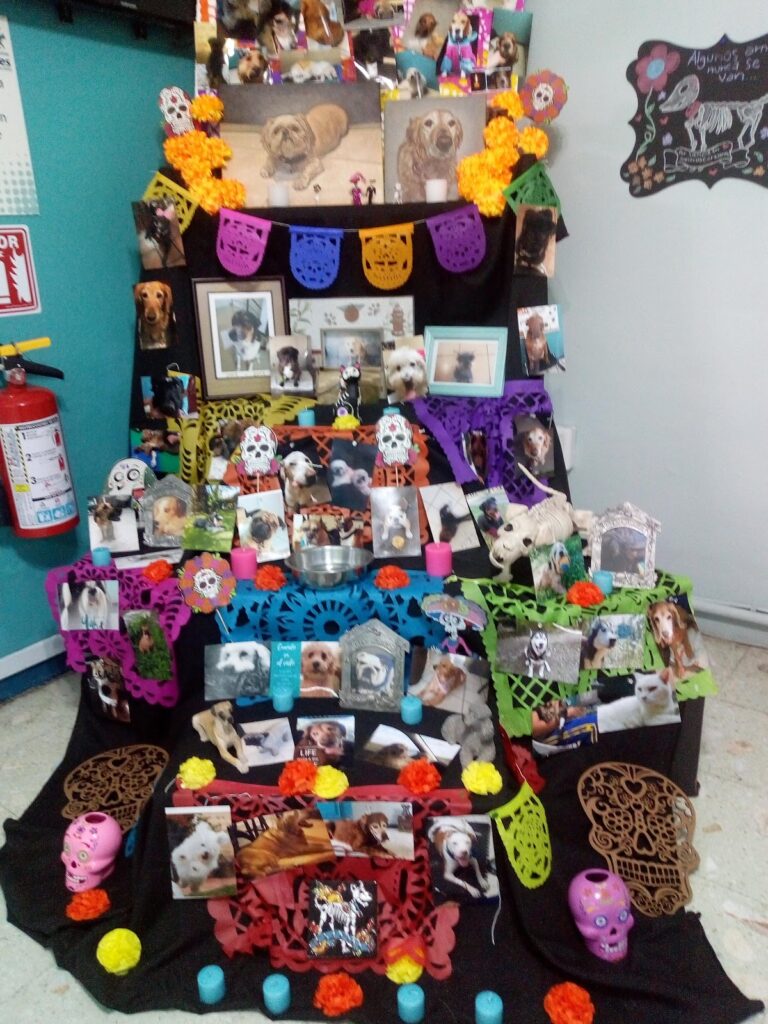 17790 centro veterinario valles 768x1024