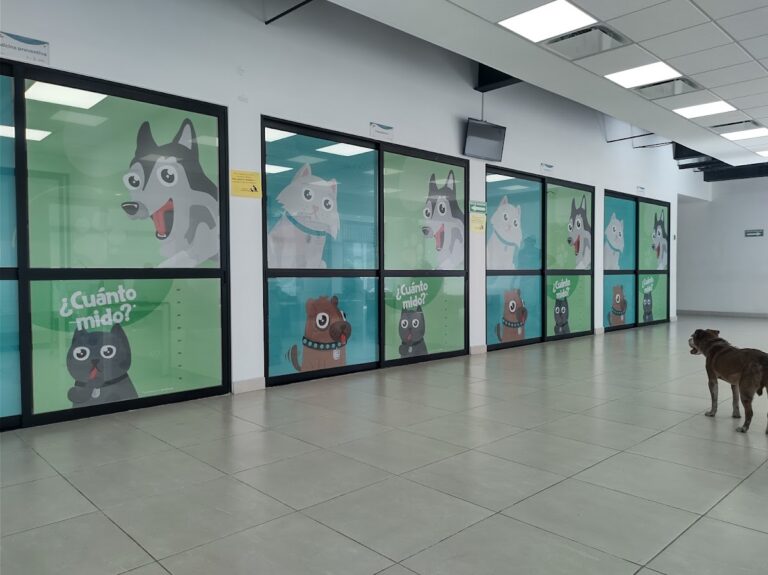 17800 cisaz centro integral de salud animal zapopan 768x575