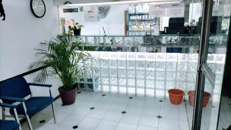 17802 hospital veterinario san jacinto 768x432