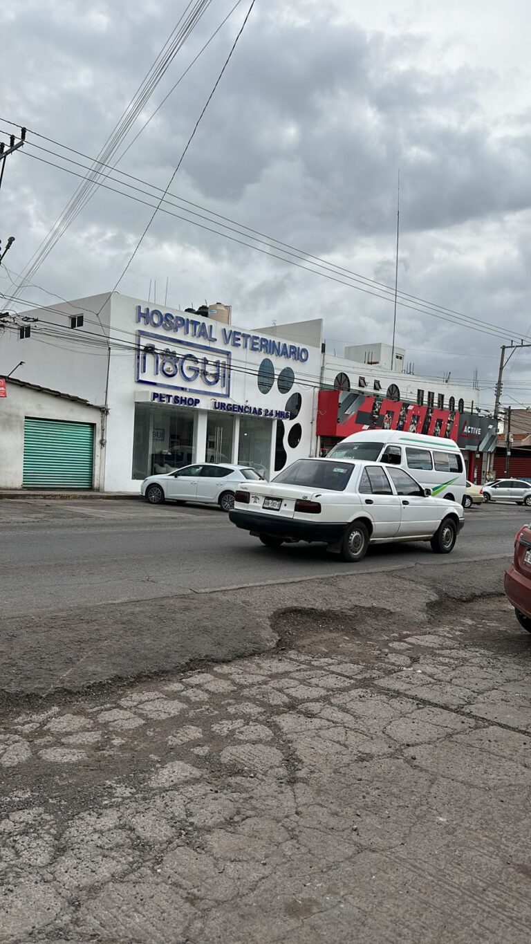 17818 hospital veterinario nogui 768x1365