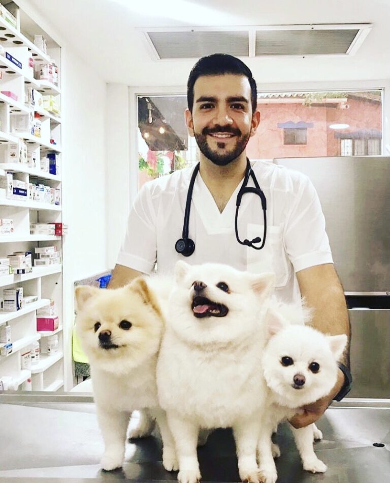 17822 pet friends veterinary hospital 768x949