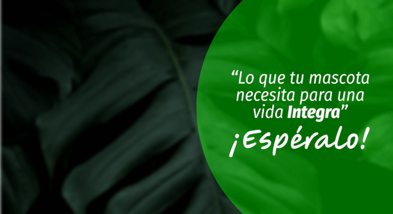 17826 grupo veterinario vetcare 768x419