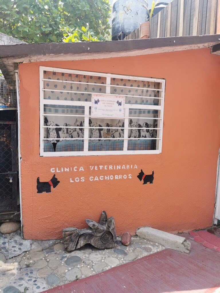 17828 clinica veterinaria 8220los cachorros8221 768x1024