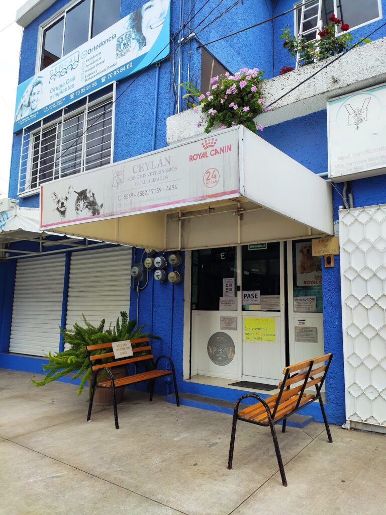 17838 hospital veterinario de especialidades ceylan 768x1024